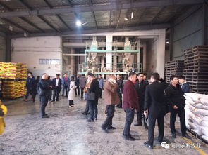 50多家飼料企業(yè)來(lái)廠參觀交流,聚焦農(nóng)科 粉包粒 教槽料