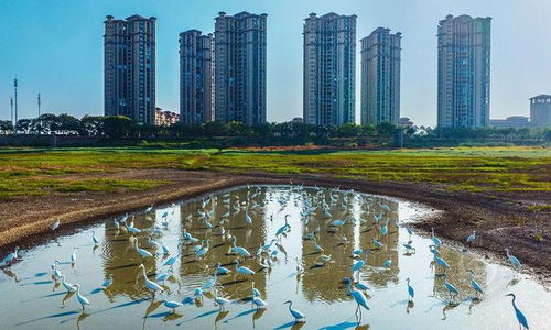 鳥(niǎo)瞰視界 銅獎(jiǎng) 2022第三屆全國(guó)航拍大賽獲獎(jiǎng)作品展 自然風(fēng)光類 中